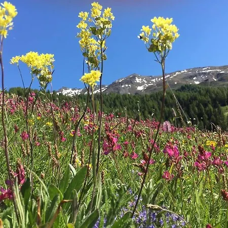 Villa La Maisonnette A Les Fleurs-pila Con Vista Cerise
